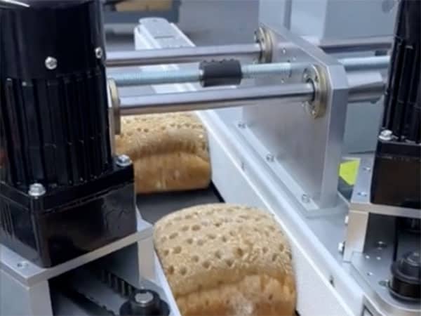 Model 389 Hugger Belt Conveyor / Bread